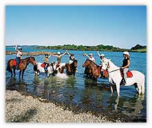 Paddling with the horses