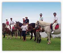 Horse Riding Paihia